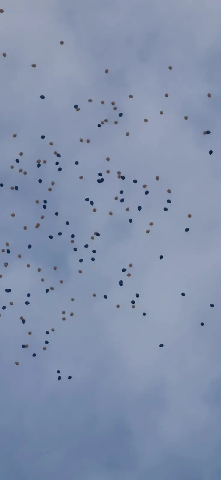 octobre rose 2024 à Autun